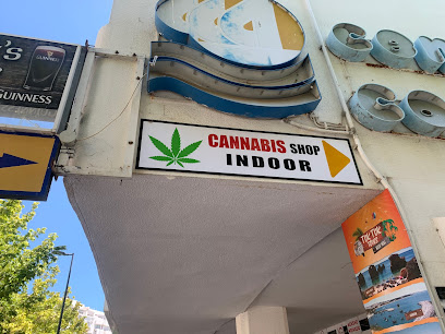 CANNABIS SHOP DOCTOR SWEED em Albufeira