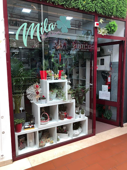 Florista Mila FlorDecor em Portalegre