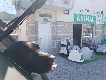 Viana Animal Center – Viana do Castelo