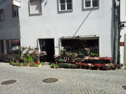 Florista Petala da Torre – Guarda