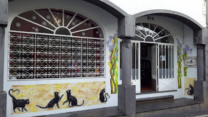 Sotao d'Avo em Ponta Delgada