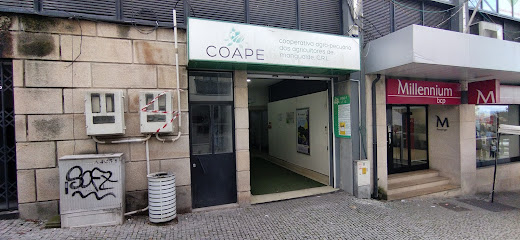 Coape-cooperative Agro-livestock farmers Mangualde Crl em Mangualde