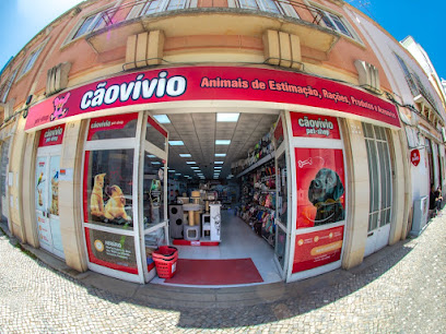 Caovivio Faro em Faro