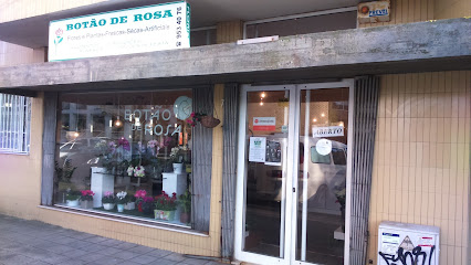 Botao de Rosa em Senhora da Hora