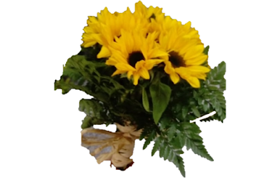 Florista Maria Melo – Vila Nova de Gaia
