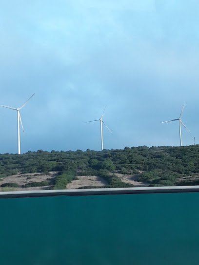A.C.P.- Artigos de Caca e Pesca, Lda – Loures