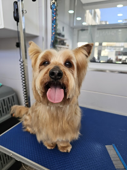 Shanti Pet Ermesinde – Pet shop – Ermesinde