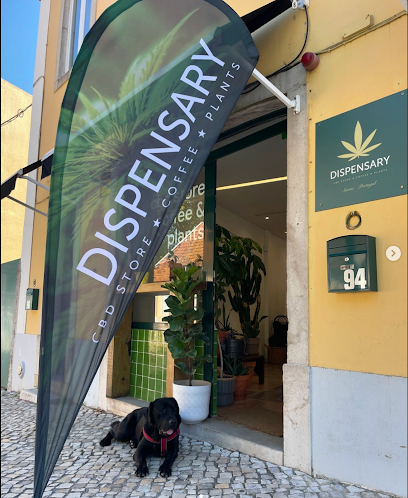 Dispensary Sintra – Sintra
