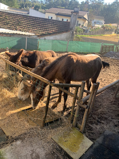Cantinho dos Burros - Quinta Pedagogica em Leiria