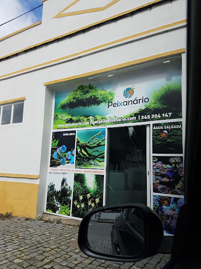 Peixanario - Aquariofilia em Portalegre