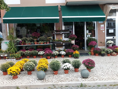 Jardim do Centro Florista – Entroncamento