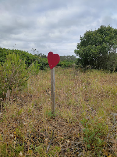 Baloiço Serra d’El-Rei – Serra d’ El-Rei