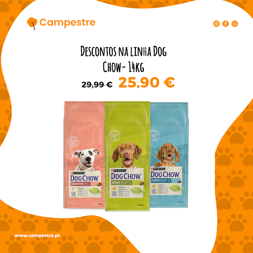 Campestre – Baguim do Monte