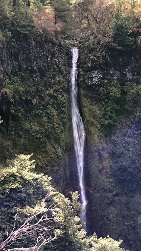Canyoning Ribeiro Frio – Ribeiro Frio