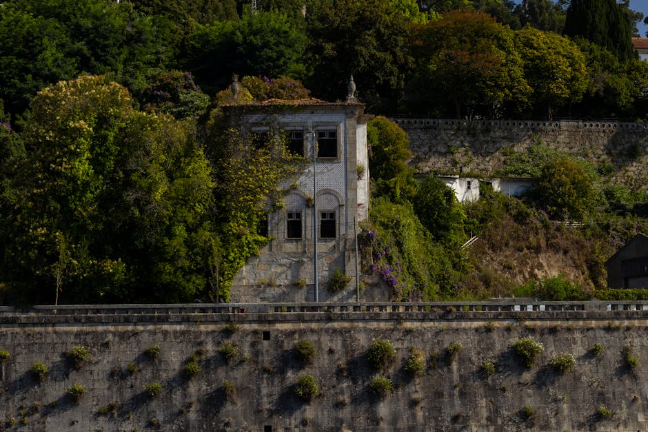 Casa Do Brigadeiro – Lajeosa do Mondego