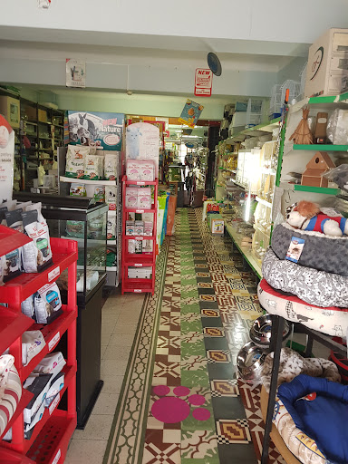 Casa dos Passarinhos – Alcácer do Sal
