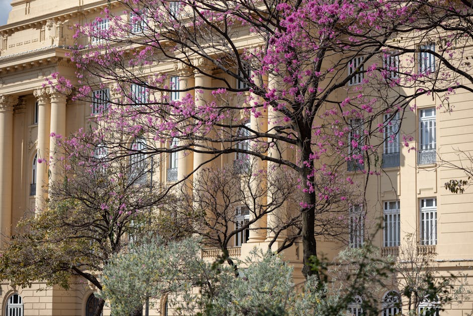 Centro Infantil de Valbom – Valbom