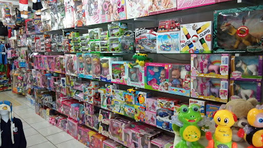 CR acessórios e brinquedos em Palmeira das Missões