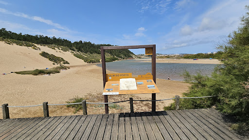 Duna de Salir do Porto – Salir do Porto