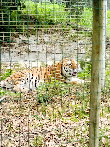 Europaradise | Parque Zoológico em Montemor-o-Velho