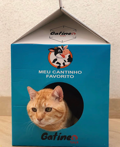 Gatíneos Toys – Brinquedos para Gatos – Cotia