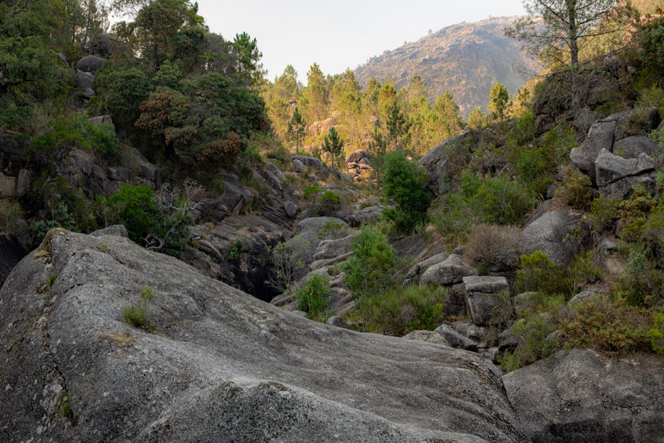 Herdade da Burquilheira – Alcáçovas
