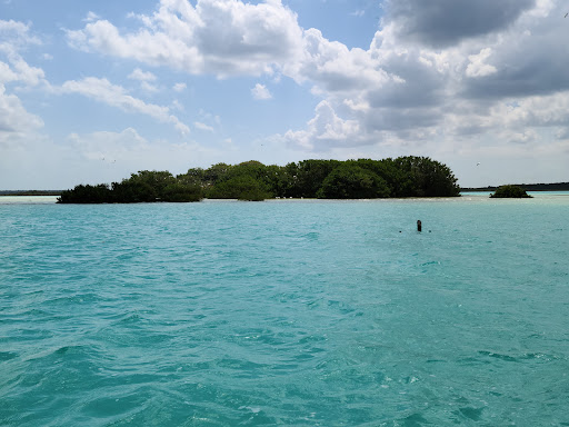 Isla de los Pájaros – Bacalar