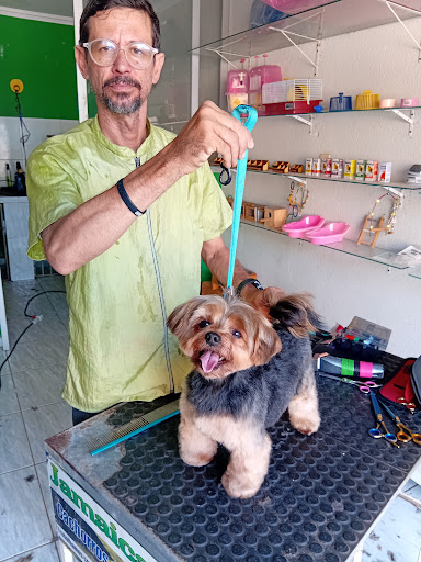Jamaica Dogs Pet – Pereiro
