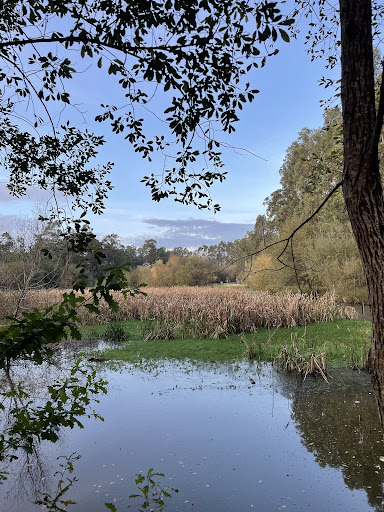 Lagoa do Moitão - Covão do Lobo em Covão do Lobo