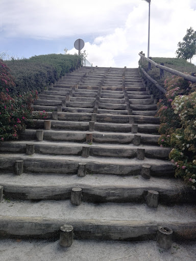 Lipor, Adventure Park – Baguim do Monte