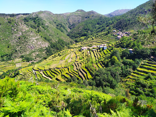 Miradouro dos Socalcos – General