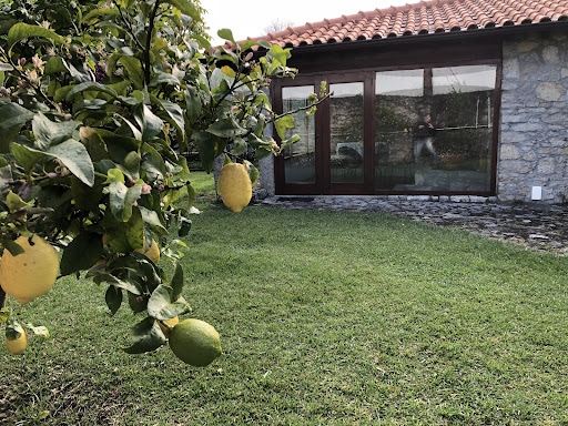 Moinho das Oliveiras – Vila Praia de Âncora