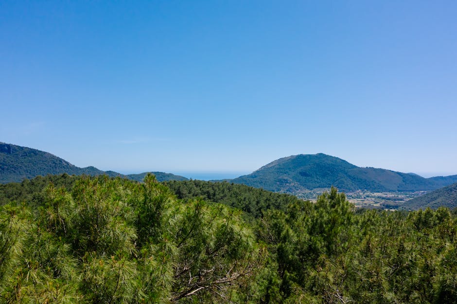 Monte da Cabeça Gorda em Alcáçovas