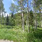 Mountain Baby Gear em Aspen