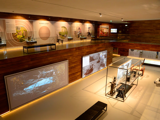 Museu do Vinho de S. João da Pesqueira – São João da Pesqueira