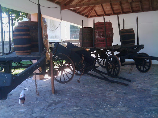 Museu Rural do Reguengo Grande – Reguengo Grande