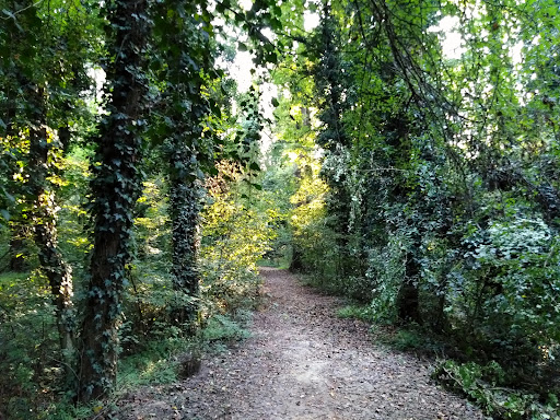 Oasis Bosco Negri – Pavia