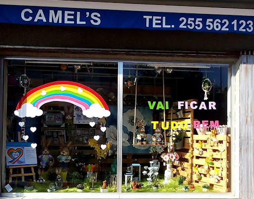 Papelaria Camel's em Cinfães