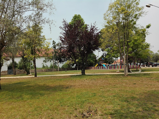 Park Picnic – Mogofores