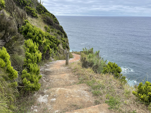 Parque Endémico do Pelado em Lomba da Fazenda