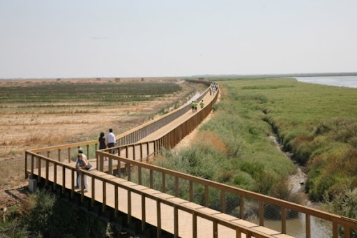 Parque Linear Ribeirinho Estuário do Tejo – Póvoa de Santa Iria