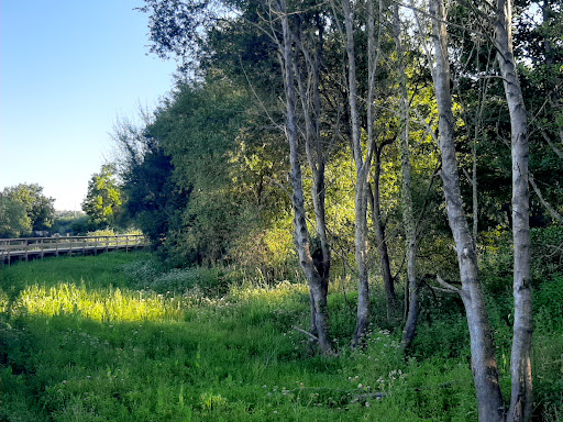 Parque Urbano de Fanzeres – Fânzeres