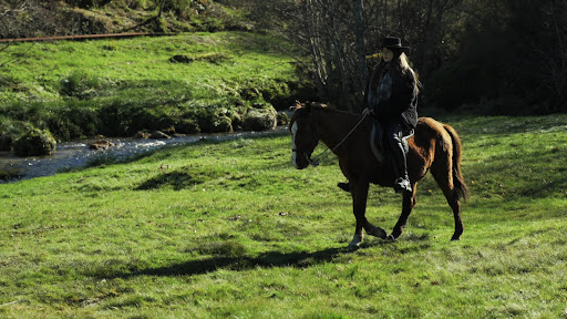 Passeios Equestres – Gralheira