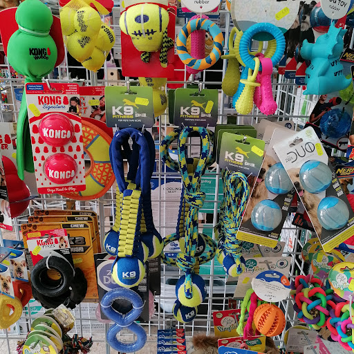 PetShop Casal Cambra Aviário em Casal de Cambra