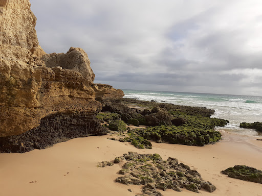 Pingo Doce Armação de Pêra – Torre – Armação de Pêra