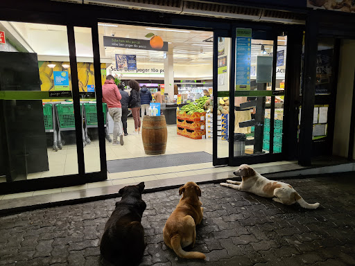 Pingo Doce Super Câmara de Lobos em Câmara de Lobos