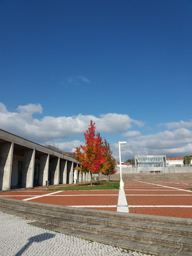Praça da Notabilidade em Castanheira de Pêra
