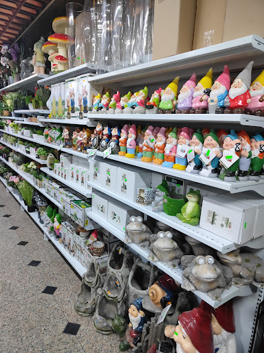 Rainha Shopping – Oliveira de Azeméis