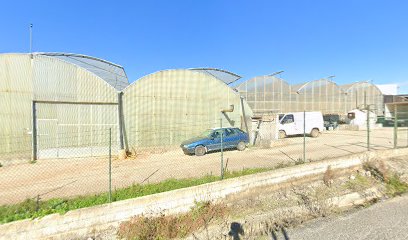 Frescura Aromatica em Cartaxo