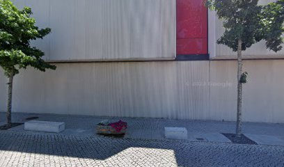 Sr. Brinquedo em Guarda